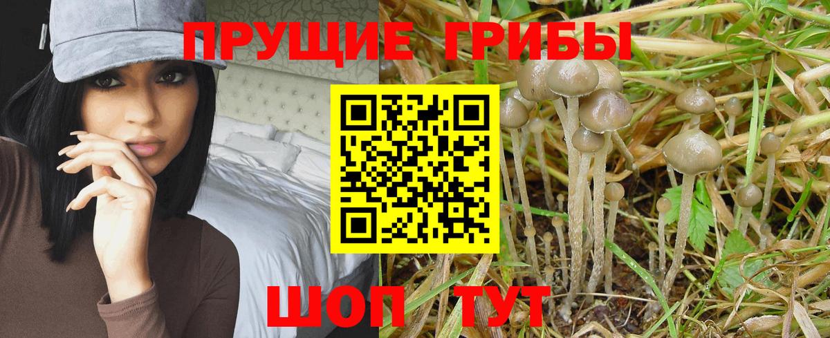 Галлюциногенные грибы прущие грибы  Вход с VPN  Кемерово 